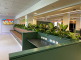 Royal Perth Hospital (Perth)- Artificial Plants for Planters / Booth Seating | ARTISTIC GREENERY