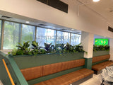 Royal Perth Hospital (Perth)- Artificial Plants for Planters / Booth Seating | ARTISTIC GREENERY