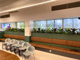 Royal Perth Hospital (Perth)- Artificial Plants for Planters / Booth Seating | ARTISTIC GREENERY