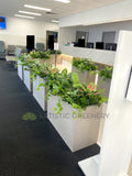 Perth Radiological Clinic (Midland) - Artificial Plants & Planter Boxes | ARTISTIC GREENERY