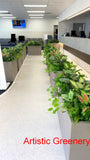 Perth Radiological Clinic (Midland) - Artificial Plants & Planter Boxes | ARTISTIC GREENERY