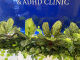 WA Psychiatry & ADHD Clinic (East Perth) - Artificial Plants for Planters | ARTISTIC GREENERY