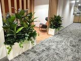 State Health Operations Centre (Perth CBD)- Artificial Plants for Tambour Units and Planters | ARTISTIC GREENERY