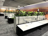 State Health Operations Centre (Perth CBD)- Artificial Plants for Tambour Units and Planters | ARTISTIC GREENERY