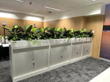 State Health Operations Centre (Perth CBD)- Artificial Plants for Tambour Units and Planters | ARTISTIC GREENERY