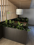 State Health Operations Centre (Perth CBD)- Artificial Plants for Tambour Units and Planters | ARTISTIC GREENERY