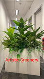 Perth Radiological Clinic (Joondalup & Perth) - Artificial Plants for Planter Boxes
