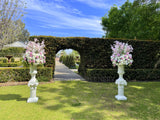 Wedding Package - Pink & White - Gloria & Hanming (Oct 2022) at Caversham House