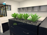 Ecorp (Mt Hawthorn) - Agave Plants for Tambour Units | ARTISTIC GREENERY