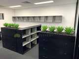 Ecorp (Mt Hawthorn) - Agave Plants for Tambour Units | ARTISTIC GREENERY