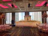 For Hire - Throne Chairs - Mr and Mrs Chairs  - (Code: HI0003)