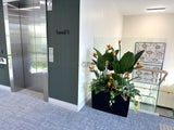 Carmel Roshana Care (Aged Care) - Artificial Flower Arrangements Throughout the Facifity