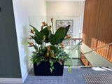 Carmel Roshana Care (Aged Care) - Artificial Flower Arrangements Throughout the Facifity