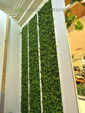 Gardenia Cafe Currambine Central - Vertical Garden / Hanging Baskets / Climbing Vines