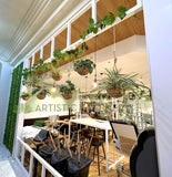 Gardenia Cafe Currambine Central - Vertical Garden / Hanging Baskets / Climbing Vines