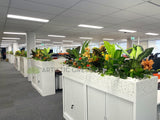 Metso Outotect (West Perth) - Artificial Plants for Tambour Units | ARTISTIC GREENERY