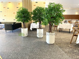 Saltbush Training Restaurant (Mandurah) - Artificial Plants - Commerical Fitout Decoration Supplier Perth WA | ARTISTIC GREENERY