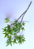 LEA0117 Artificial Green Maple Foliage 95cm | ARTISTIC GREENERY