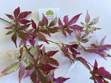 LEA0128 Artificial Maple Foliage 83cm Purple | ARTISTIC GREENERY