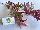 LEA0128 Artificial Maple Foliage 83cm Purple | ARTISTIC GREENERY