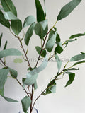 LEA0134 Eucalyptus Foliage 99cm Grey Green