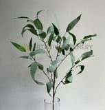 LEA0134 Eucalyptus Foliage 99cm Grey Green