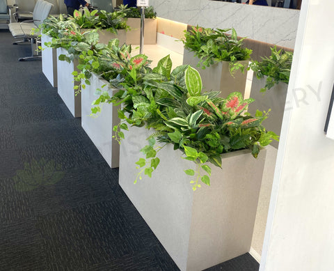 Perth Radiological Clinic (Midland) - Artificial Plants & Planter Boxes | ARTISTIC GREENERY