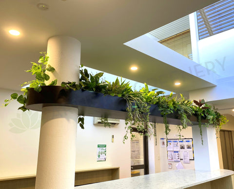 Perth Radiological Clinic (Subiaco) - Artificial Plants for Bulkhead / Built-in Hanging Planter| ARTISTIC GREENERY PERTH