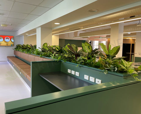 Royal Perth Hospital (Perth)- Artificial Plants for Planters / Booth Seating | ARTISTIC GREENERY