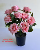 SP0110 Silk Blush / Pink Colour Rose Bunch 43cm Rose Posie | ARTISTIC GREENERY