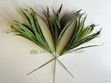 SP0131N Artificial Spider Plant 47cm 3 Styles (Chlorophytum Comosum / Ribbon Plant) | ARTISTIC GREENERY