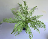 SP0414 Artificial Large Fern Bunch 56cm Real Touch Quality | ARTISTIC GREENERY