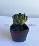 SP0445 Faux Green Sedum Succulent 11cm Green | ARTISTIC GREENERY