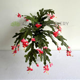 SP0449 Artificial Schlumbergera / Christmas Cactus 46cm | ARTISTIC GREENERY 