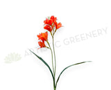 SP0452 Artificial Freesia Bunch 58cm Real Touch Orange | ARTISTIC GREENERY 