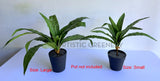 SP0455 Artificial Bird's Nest Fern Availalbe in 2 Sizes | ARTISTIC GREENERY