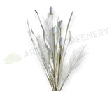 SP0460 Dried Style Pampas Grass with Bunny Tails 59cm White | ARTISTIC GREENERY