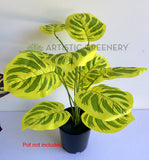 SP0468 Faux Calathea Makoyana 50cm Purple / Yellow| ARTISTIC GREENERY