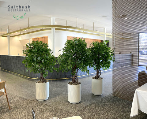 Saltbush Training Restaurant (Mandurah) - Artificial Plants - Commerical Fitout Decoration Supplier Perth WA | ARTISTIC GREENERY