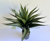 T0035 Artificial Large Aloe Vera 60cm | ARTISTIC GREENERY