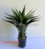 T0035 Artificial Large Aloe Vera 60cm | ARTISTIC GREENERY