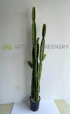 T0181 Artificial Pleated Cereus (Queen-of-the-night) Cereus Jamacaru 184cm  | ARTISTIC GREENERY