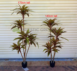 T0184 Faux Cordyline Fruticosa Tree / Ti Plant 140cm | 170cm | ARTISTIC GREENERY