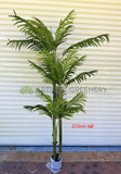 T0185 Artificial Cabada Palm 180cm / 210cm | ARTISTIC GREENERY