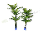 T0185 Artificial Cabada Palm 180cm / 210cm | ARTISTIC GREENERY