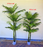 T0185 Artificial Cabada Palm 180cm / 210cm | ARTISTIC GREENERY