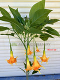 T0186 Artificial Angel's Trumpet / Brugmansia Arborea with Orange Flowers 100cm / 140cm | ARTISTIC GREENERY