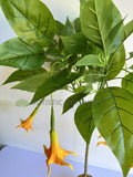 T0186 Artificial Angel's Trumpet / Brugmansia Arborea with Orange Flowers 100cm / 140cm | ARTISTIC GREENERY