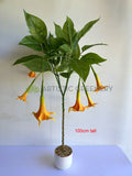 T0186 Artificial Angel's Trumpet / Brugmansia Arborea with Orange Flowers 100cm / 140cm | ARTISTIC GREENERY