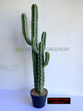 T0188 Artificial Cereus Jamacaru Cactus / Cardeiro 101cm  | ARTISTIC GREENERY